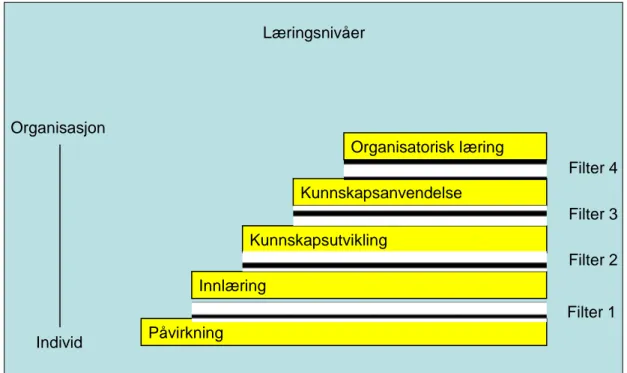 Figur 3: Femtrinnsmodell for læringsprosessen (Irgens, 2007) 
