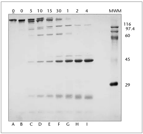 Fig. 2.2 Time course of papain digestion of monoclonal IgG.0510 Reaction stopped 10 min after addition of papain.15 Reaction stopped 15 min after addition of papain.30 Reaction stopped 30 min after addition of papain.124Easily detectable digestion products