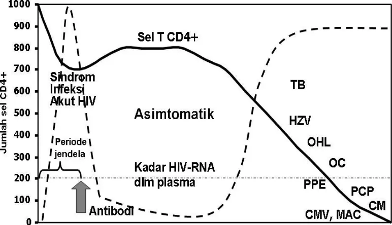 Gambar 3 : Perjalanan alamiah infeksi HIV/AIDS 