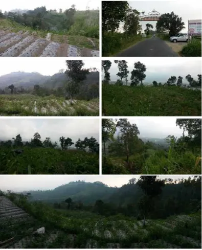 Gambar 5.2 Kondisi dan View Tapak