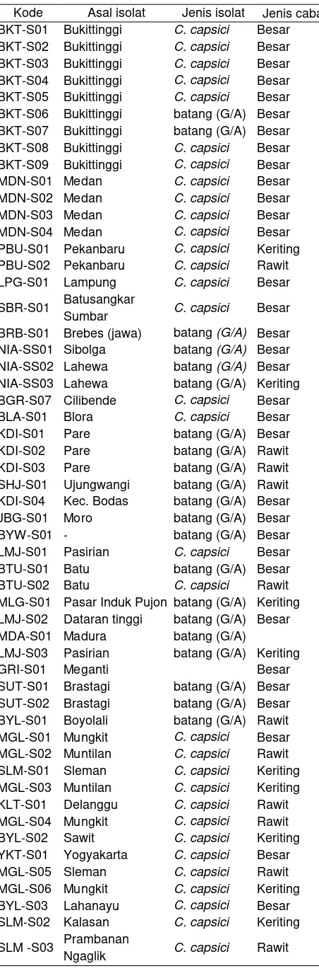 Tabel 2  Isolat Colletotrichum hasil ekplorasi di Sumatera, Jawa, dan Papua (lanjutan) 
