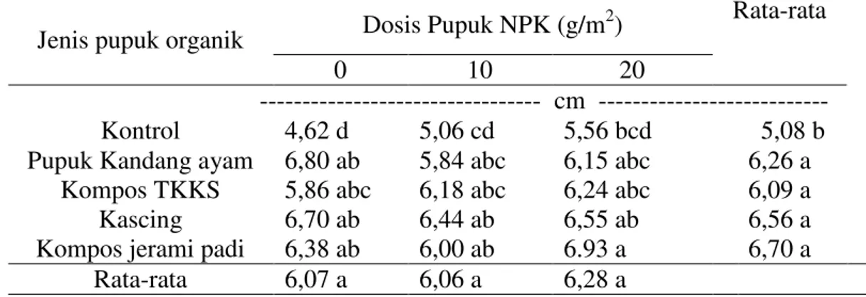 Tabel  3.  Lilit  umbi  tanaman  bawang  merah  pada  pemberian  beberapa  pupuk  organik dan pupuk NPK 