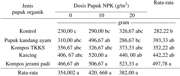 Tabel  5.  Berat  umbi  segar  per  m 2   tanaman  bawang  merah  pada  pemberian  beberapa pupuk organik dan pupuk NPK  