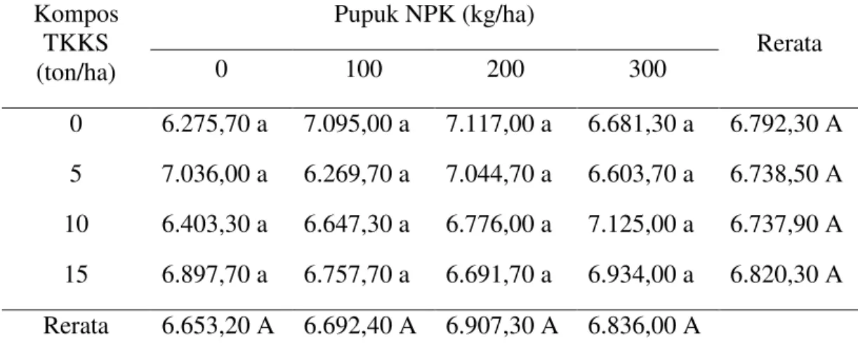 Tabel 4. Rerata luas daun total tanaman jagung (cm 2 )  dengan pemberian kompos   TKKS dan pupuk NPK