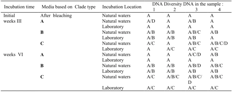 Table 1.  DNA Diversity of ����������������� Polip after ,�������� in the Zooxanthellae enrichment media within 17 days incubation period 