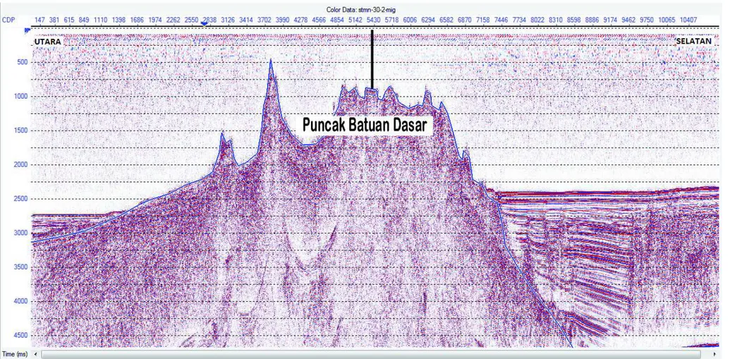 Gambar 5.  Penampang seismik lintasan 30 (Subarsyah, dkk., 2010).