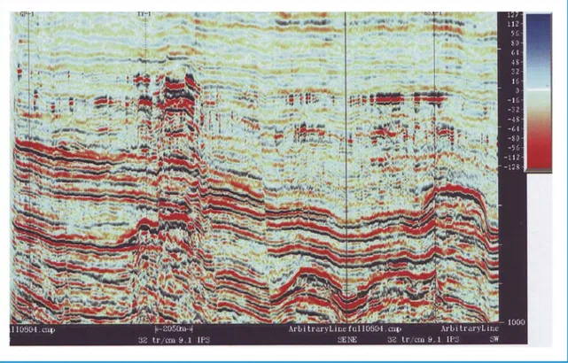 Gambar 6.  Contoh lintasan NCA-3D seismik laut lepas pantai  Utara Rengasdengklok lapangan minyak Arjuna ( ARCO) yang memperlihatkan tinggian-tinggian dan rendahan  akibat patahan  pada batuan alas daerah lepas pantai Utara Jakarta (Supriatna 2003).
