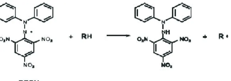 Gambar ii  2. Reaksi ii  senyawa antioksidan dan molekul ii  DPPH ii