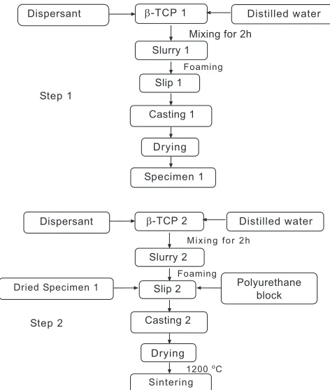 Fig. (9). The morphology of surface of (faces of the alumina-HA porous bodies (a) Porous alumina without cell seeding (b) Initial attachment and proliferation of Vero cells on sur-c) Vero cell density of Pure alumina sample (d) Vero cell density of 1.0 w/w