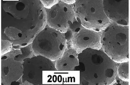 Fig. (2). SEM micrographs of the cross-section of sintered CaP foam [59]. 