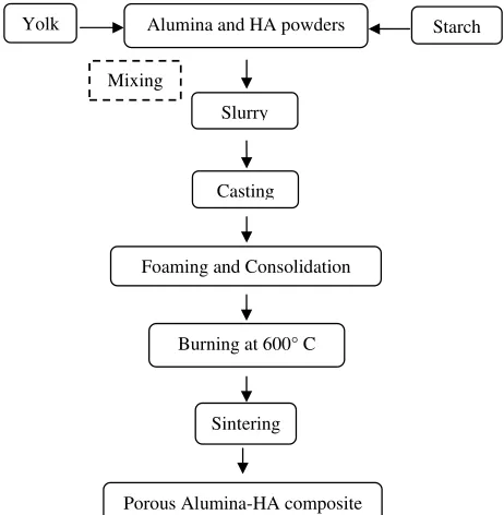 Fig. (4). Schematic diagram of Fabrication of mesoporous carbonated HA microspheres by hydrothermal method