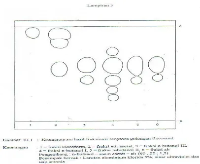 Gambar 3. Kromatogram hasil fraksinasi                ekstrak etanol