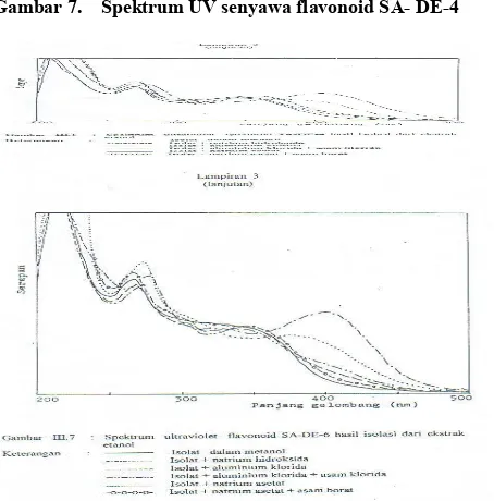 Gambar 8.  Spektrum UV senyawa flavonoid SA-DE-5