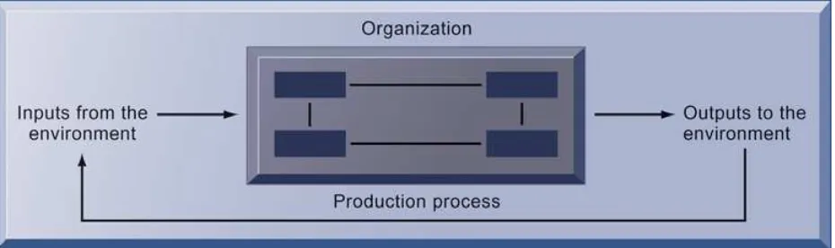 FIGURE 3-2 THE TECHNICAL MICROECONOMIC DEFINITION OF THE ORGANIZATION 