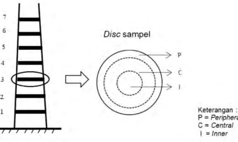 Gambar 2. Pengambilan disc sample berdasarkan ketinggian Figure 2. Disc samples based on heights
