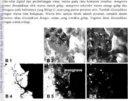 Gambar 1 Citra tiap kanal untuk identifikasi mangrove 