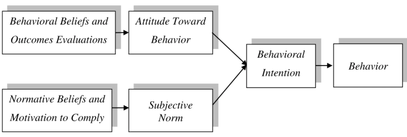 Gambar 1 Theory of Reasoned Action 