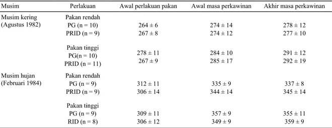 Tabel 2. Rataan bobot badan kerbau betina pada awal perlakuan, awal dan akhir perkawinan (kg) 
