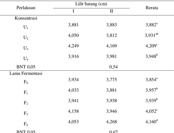 Tabel 5. Pengaruh konsentrasi urin sapi dan lama fermentasi urin sapi pada lilit batang 