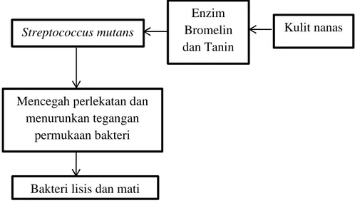 Gambar 2.3 Skema Kerangka Teori