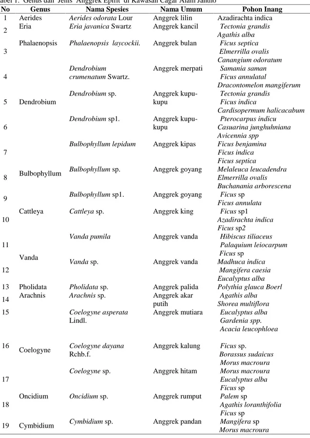 Tabel 1.  Genus dan  Jenis  Anggrek Epifit  di Kawasan Cagar Alam Jantho