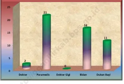 Grafik 4.2Jumlah Tenaga Kesehatandi Kecamatan Rantau Alai Tahun 2014