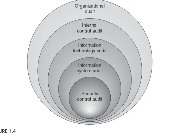 FIGURE 1.4 The scope of IT audit activities ranges from organization-wide to more narrowly deﬁned 