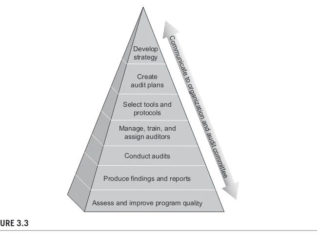 FIGURE 3.3 The internal IT audit program’s responsibilities include deﬁning strategic and operational 
