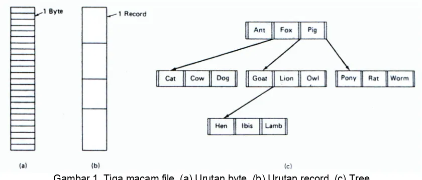 Gambar 1. Tiga macam file. (a) Urutan byte. (b) Urutan record. (c) Tree.