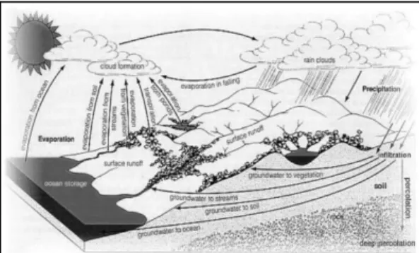 Gambar 1. Siklus Hidrologi (Syarifudin, A : 2018) 