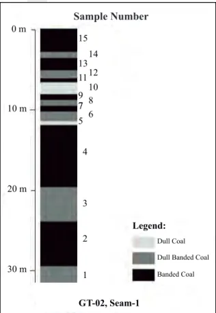 Figure 5. Coal lithotype profile of seam 1 from Drillhole  GT-02.