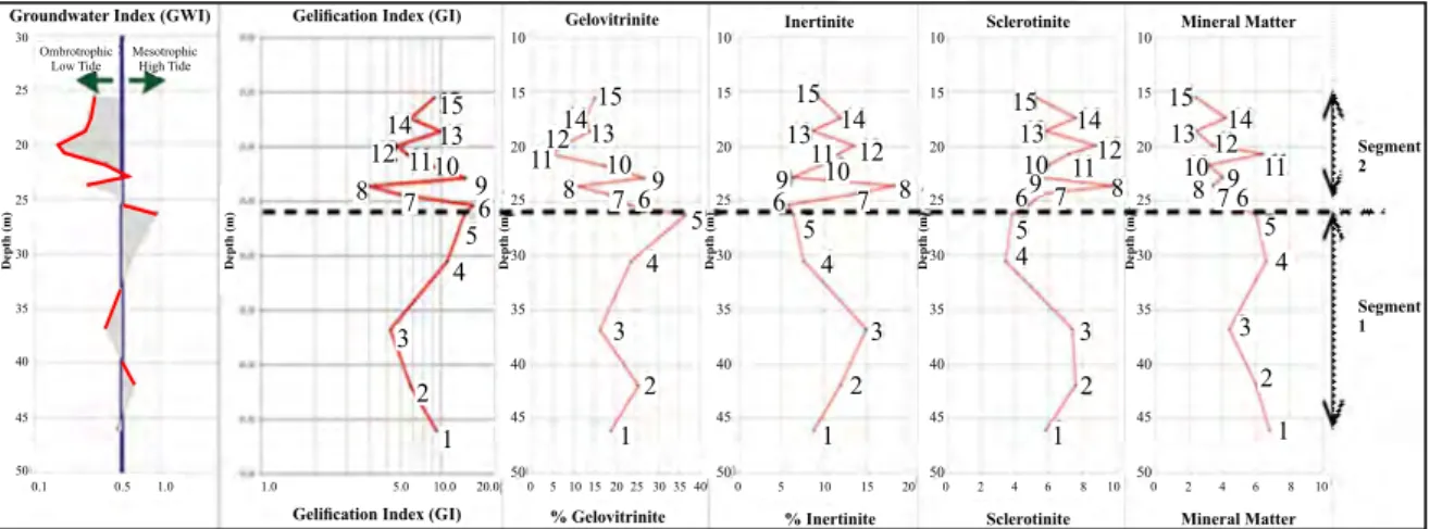 Figure 8. Vertical variation of GWI, GI, humocollinite, inertinite, sclerotinite, and minerals.Maceral variation and distribution in vertical 