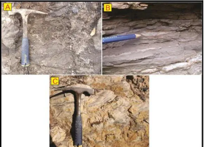 Gambar  3.  A.  Singkapan  batulempung  Balikpapan  dengan  struktur  sedimen  masif;  B