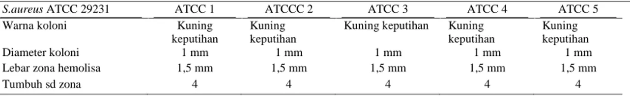 Tabel 3. Kontrol S.aureus ATCC 29231  (Media Blood Agar +  Darah donor 4%)