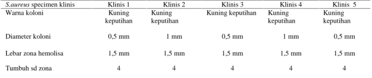 Tabel 4. Spesimen Klinis S.aureus (Media Blood Agar + Darah donor 4%)