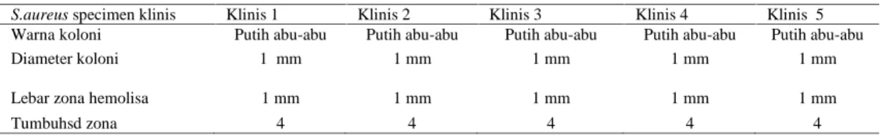 Tabel 10. Spesimen klinisS.aureus (Media Blood Agar +  Darah Donor 7%)