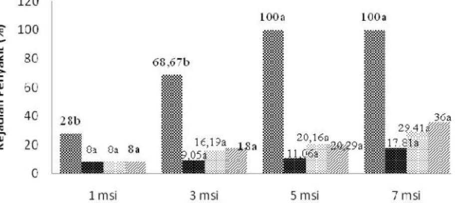 Gambar 3. Kejadian  penyakit  busuk  Sklerotium  pada  uji in  planta; A1:  isolat Trichoderma Rz-1; A2: isolat Trichoderma Rz-3; A3: isolat Aspergillus  Ed-2