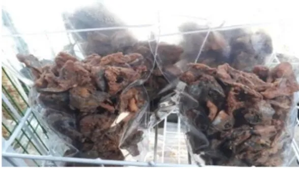 Gambar 1 Produk keripik kulit ikan nila 