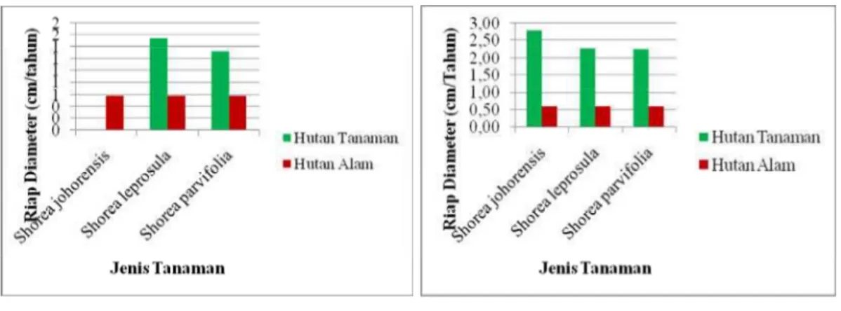 Gambar 2. Riap rata-rata tahunan diameter Shorea johorensis, Shorea leprosula dan Shorea parvifolia RKT berbeda pada hutan tanaman dan hutan alam, Keterangan : (a) RKT 2005, (b) RKT 2007, (c) RKT 2009, dan RKT 2011 (The average annual increment in diameter