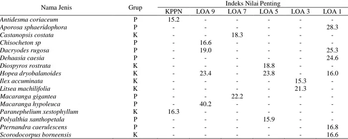 Tabel 7  Indeks nilai penting di atas 15% pada tingkat pohon pada petak pengamatan 