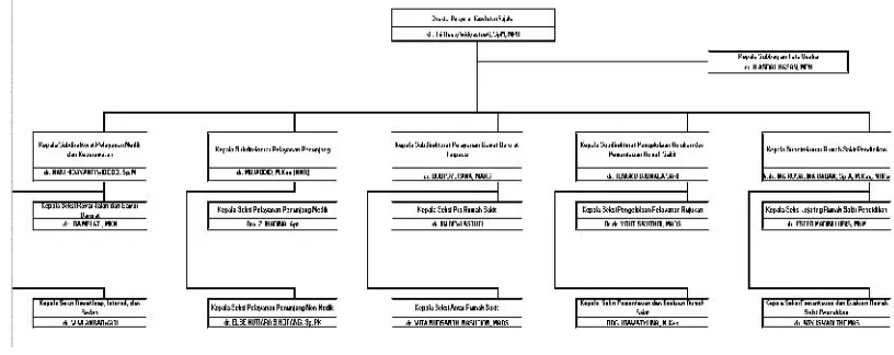 Gambar 1. Struktur Organisasi Direktorat Pelayanan Kesehatan Rujukan