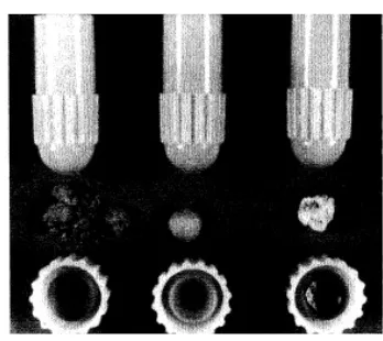 Gambar 2.1: Hasil triturasi amalgam. 