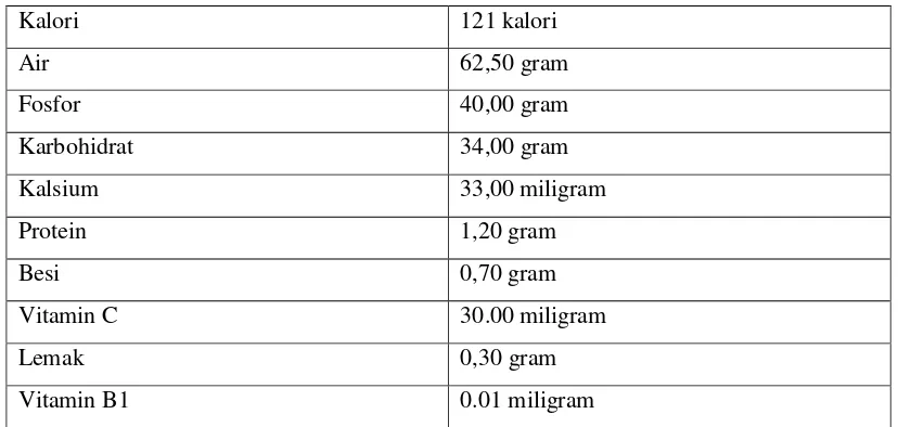 Tabel 2. 4 Kandungan gizi per 100 gram singkong (Sumber : BPPT,2005[4]) 