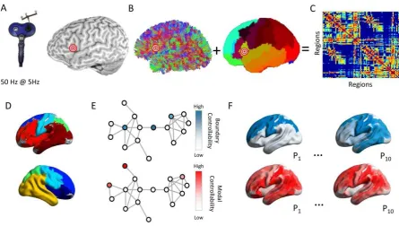 Figure 1: Overview of Methods (A) Continuous theta burst stimulation was administered to 