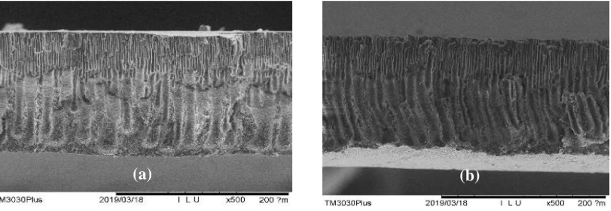 Gambar 2. Penampang melintang membran (a) PSF murni dan (b) PSF/TiO2  Hasil  analisis  dengan  menggunakan  SEM 