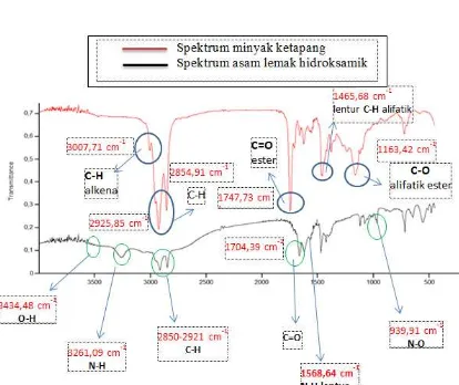 Gambar 2. terdapat gugus hidroksamik. 