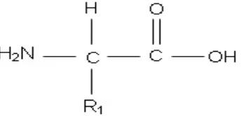 Gambar 1. Struktur Asam Amino Daun enceng gondok memiliki asam amino 