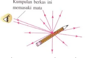 Gambar 12.1. Berkas cahaya datang dari setiap titik pada benda. Sekumpulan berkas yang meninggalkan satu titik diperlihatkan memasuki mata 