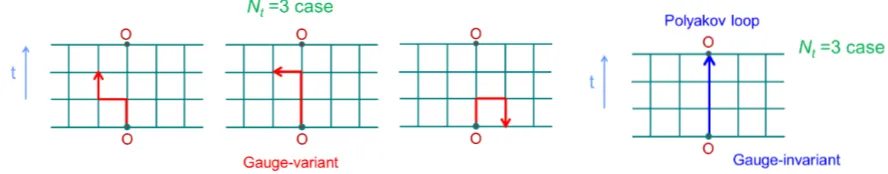 Figure 2.(a) A simple example of the temporally odd-number lattice (Nt = 3 case).(b) Only gauge-invariant quantities such as closed loops and the Polyakov loop survivein QCD