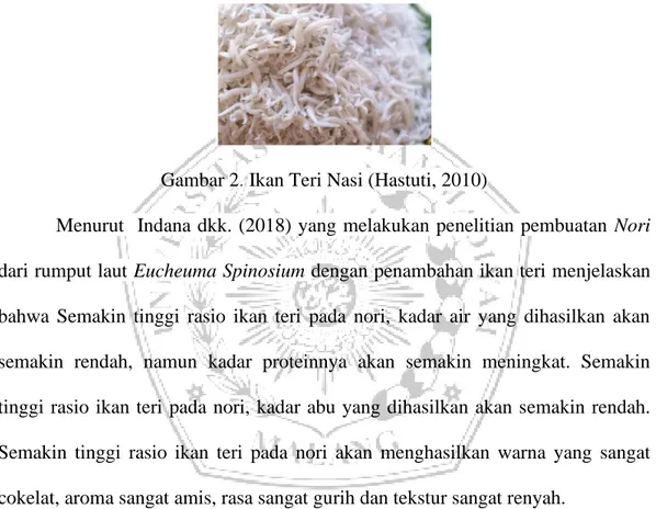 Gambar 2 .  Ikan Teri Nasi (Hastuti, 2010) 